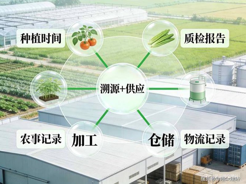 供应链溯源